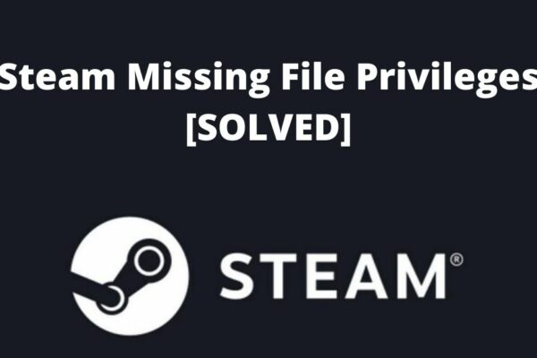 steam missing file privileges