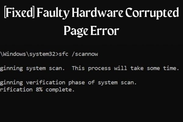 Faulty Hardware Corrupted Page
